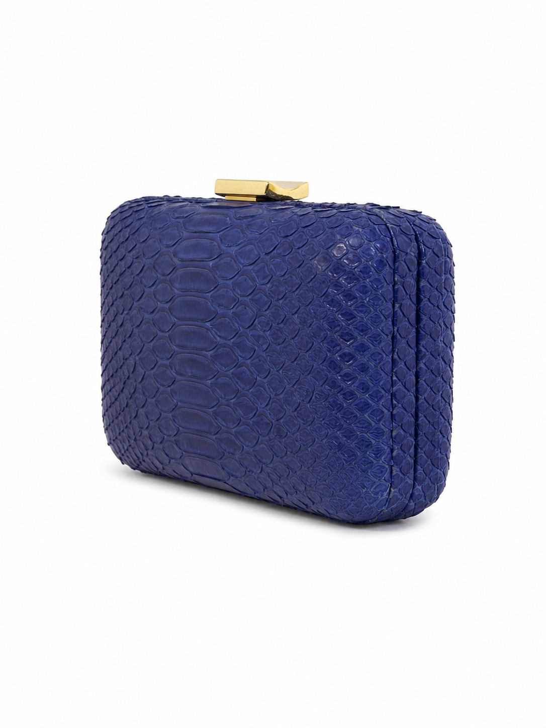 Clutch Armação | Couro de Python | Azul